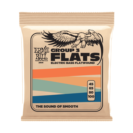Ernie Ball Group 3 Stainless Steel Flatwound Electric Bass Strings 45-100 Gauge