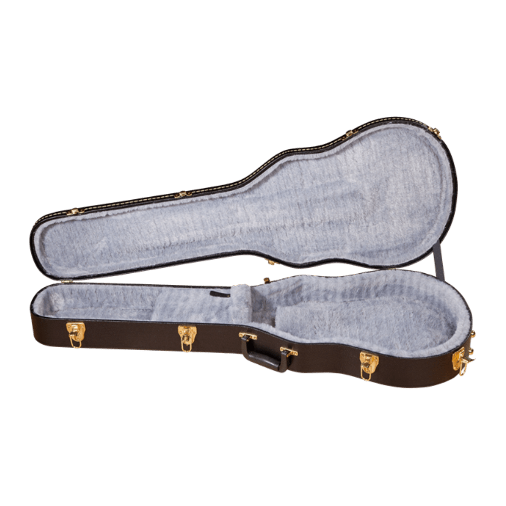 Gretsch G6238FT Electromatic Solid Body Guitar Case