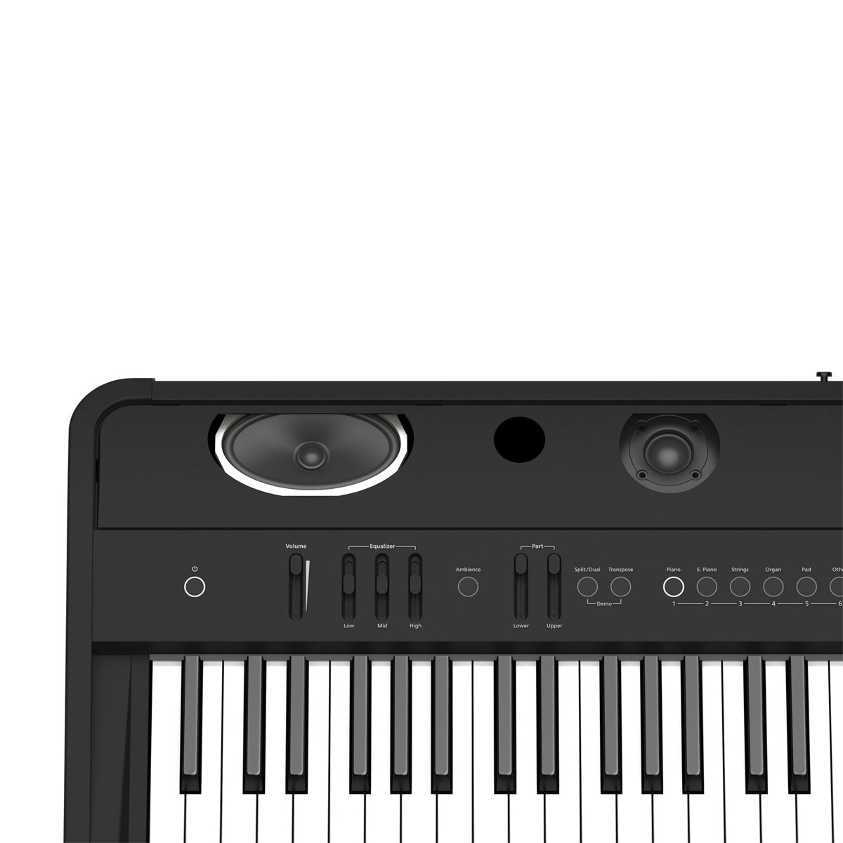Roland FP-90 Digital Piano - Black