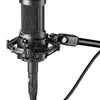 Audio-Technica AT2020USB+ Cardioid Condenser USB Microphone (Dark Gray)