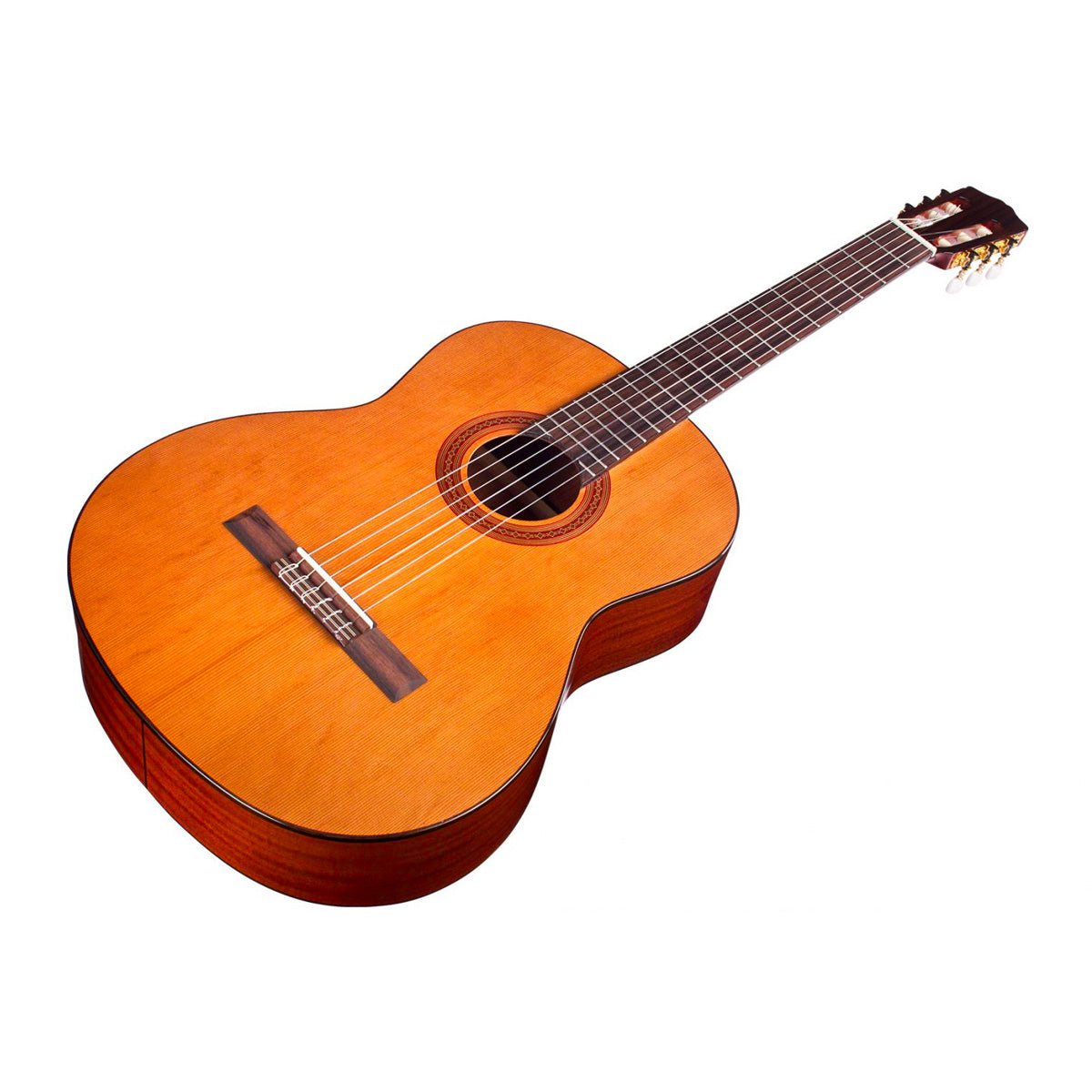 Cordoba C5 Nylon String Acoustic Guitar - Cedar