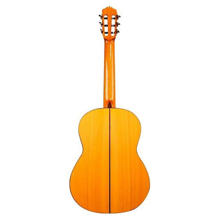 Cordoba F10 Nylon String Acoustic Guitar Natural