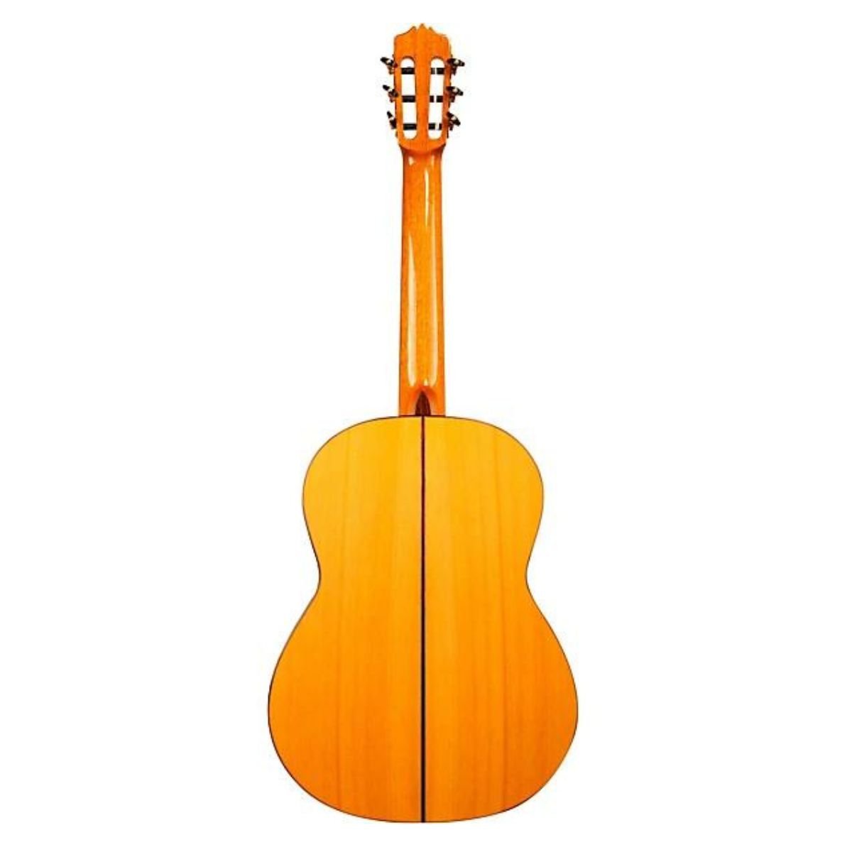 Cordoba F10 Nylon String Acoustic Guitar Natural