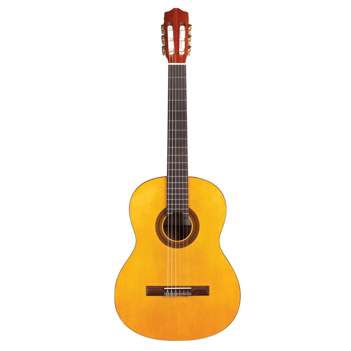 Cordoba Protege C1 Nylon String Acoustic Guitar with Bag - Spruce