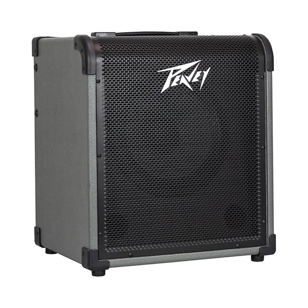 Peavey MAX 300 300W 2x10 Bass Combo Amp Gray and Black