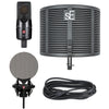 sE Electronics X1 S Studio Bundle with Shockmount & Isolation Filter